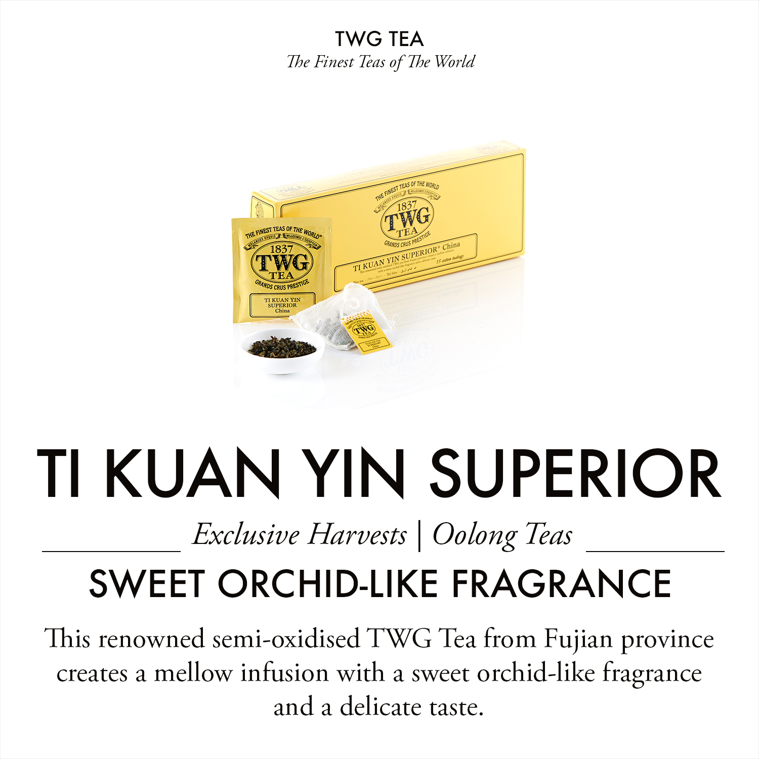 TWG Tea - Ti Kuan Yin Superior Tea (2.5g x 15 teabags) | Oolong Tea