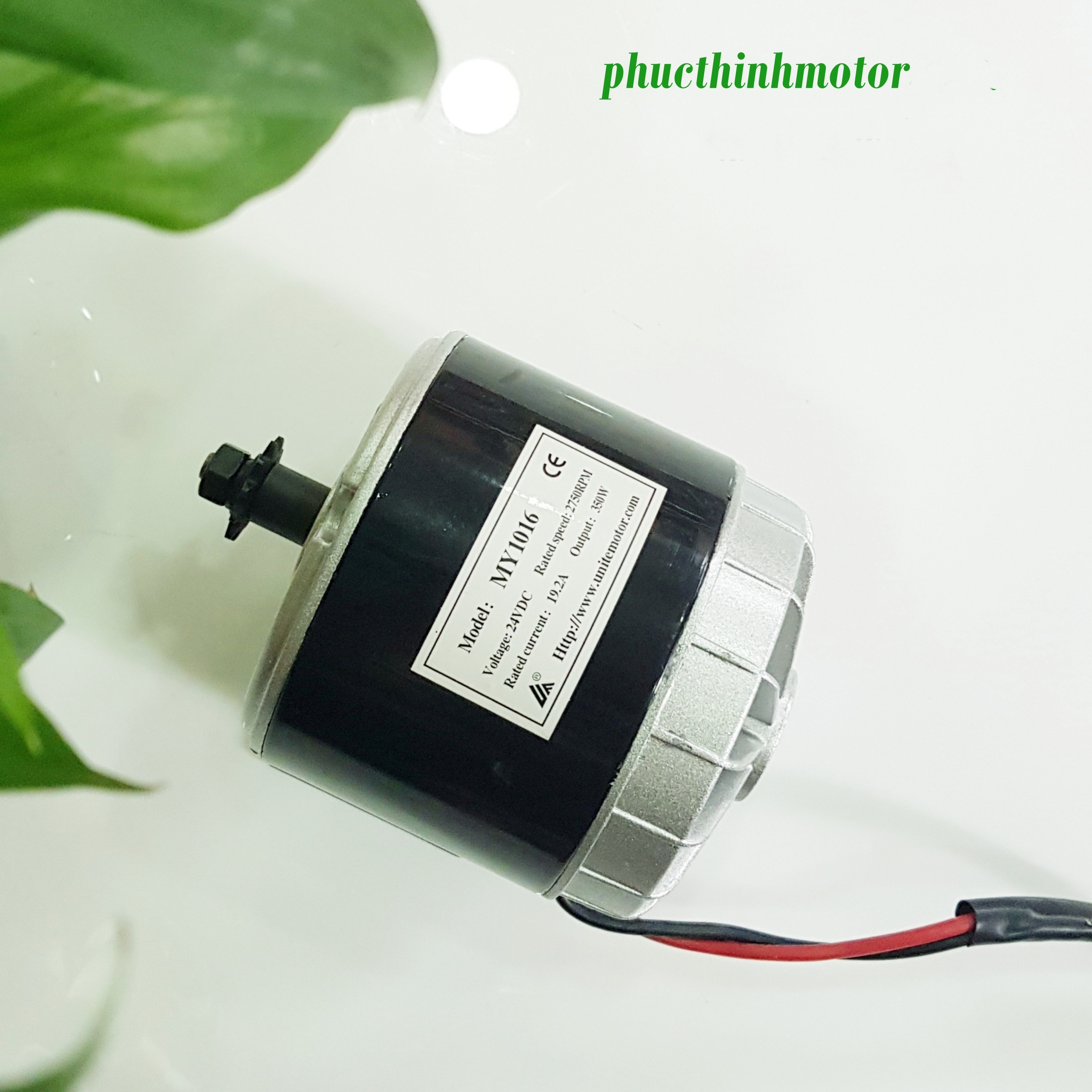 Động cơ 24v350w không giảm tốc