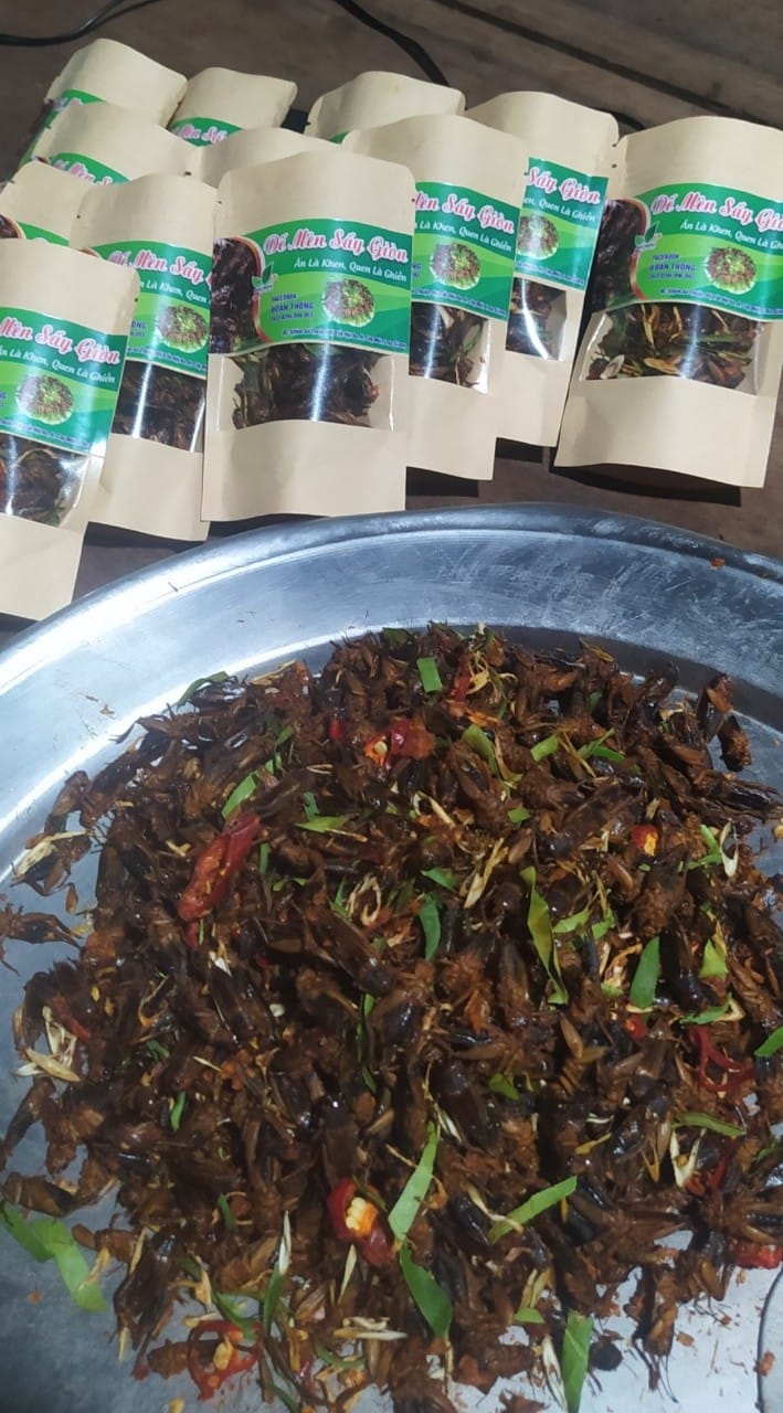 Combo 10 Túi Dế mèn sấy giòn.