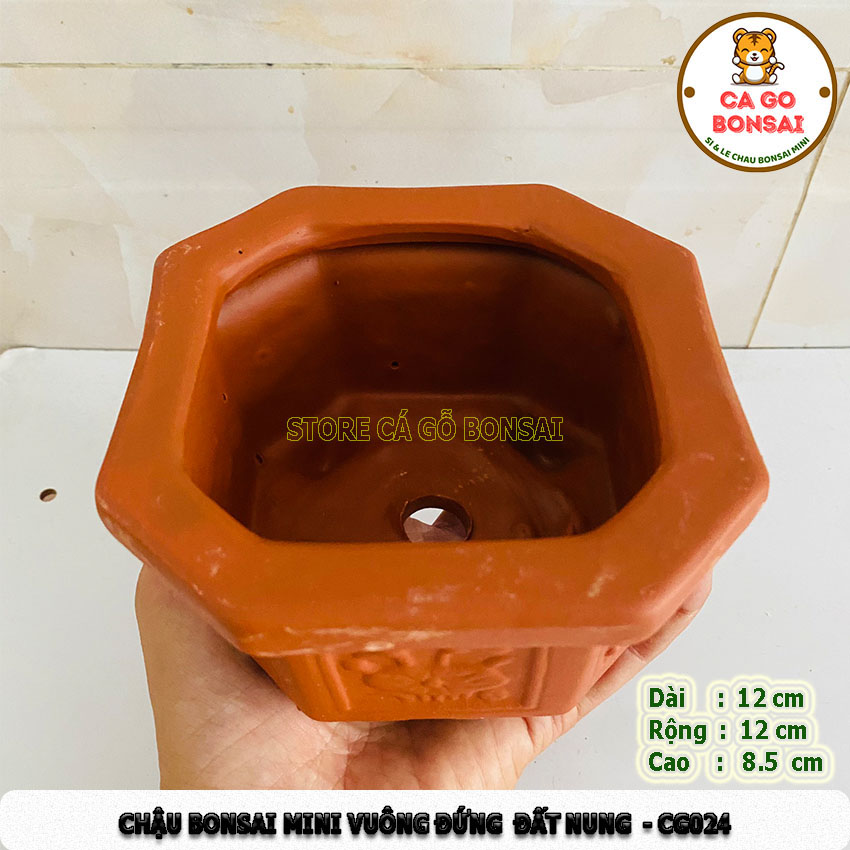 Chậu Mini Vuông Đứng Đất Nung - CG24