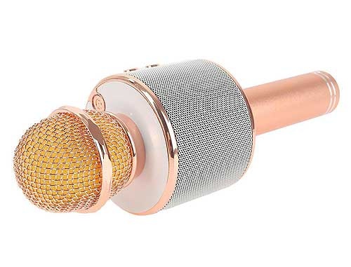 (Giá Huỷ Diệt) Micro kèm loa bluetooth WS-858 cực hot siêu đẹp siêu hay