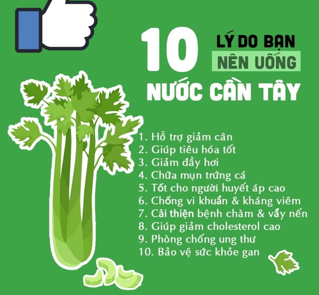 Bột cần tây sấy lạnh