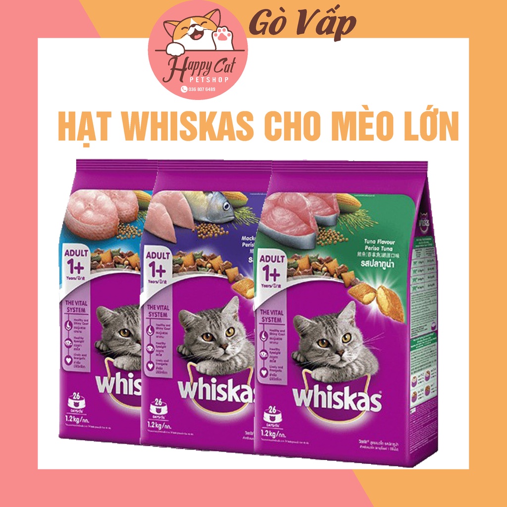 Hạt Whiskas cho mèo con & mèo lớn - HAPPYCAT