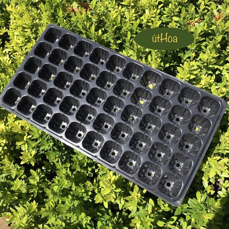 Combo 10 Khay Ươm Hạt 32,50,72,105,200 Lỗ ( Loại Dày)