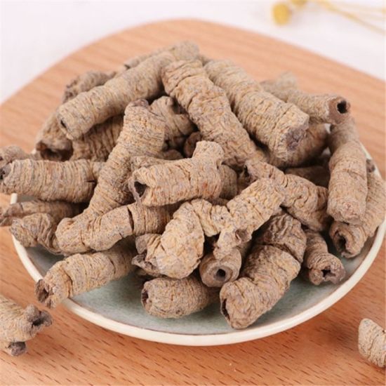 Ba kích tím khô 100g - Thảo Dược Tấn Phát