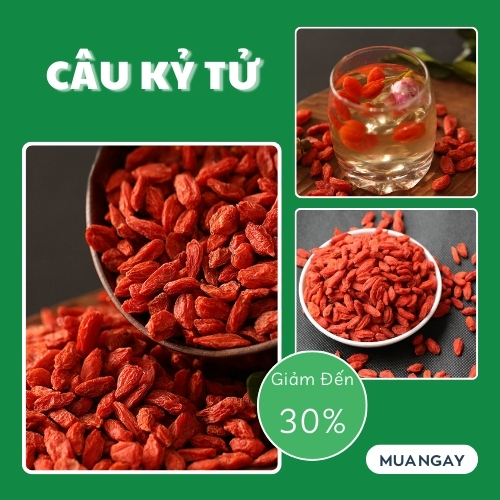 Câu kỷ tử khô 100g - tấn phát