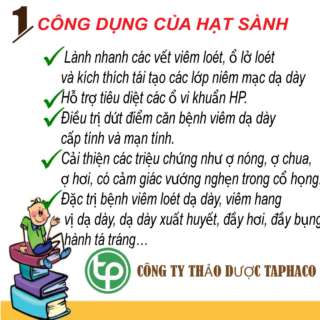 Hạt sành chữa đau dạ dày (10 hạt) - Thảo Dược Tấn Phát