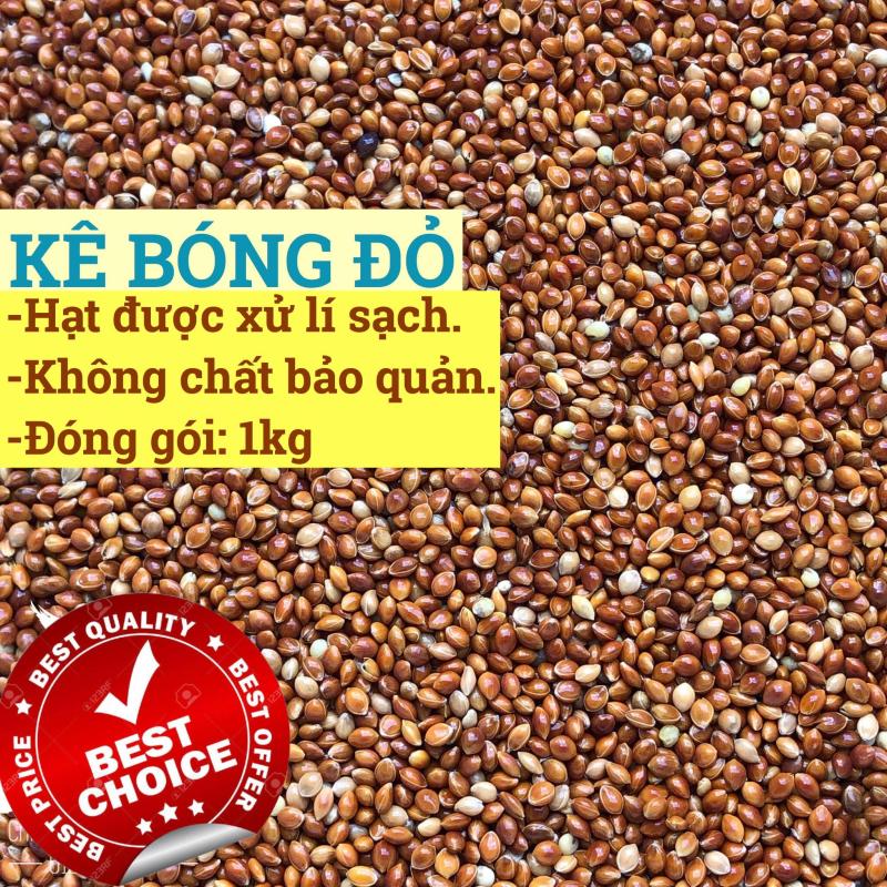 1KG HẠT KÊ BÓNG ĐỎ - KÊ ĐỎ HẠT TO