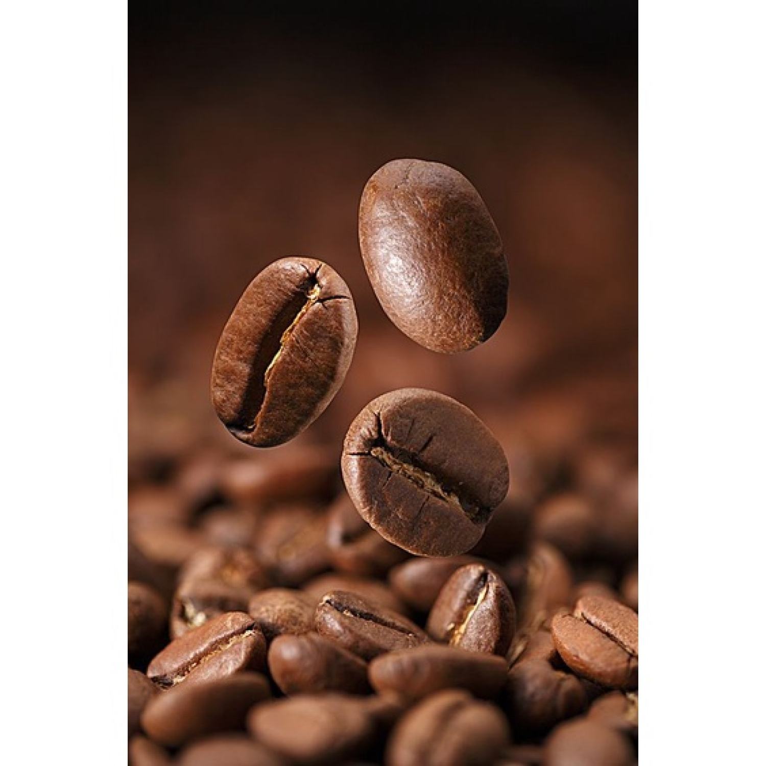 Cà Phê Hạt Robusta 100% Nguyên Chất Rang Mộc MK Coffee - Bịch 1KG