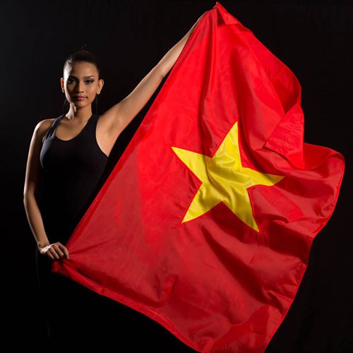 Cờ tổ quốc - Cờ Việt Nam 60 x 90cm