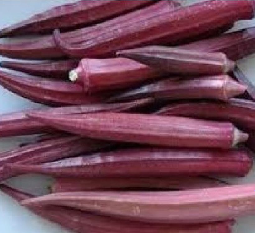 Túi 5Gram Hạt giống đậu bắp đỏ cao sản