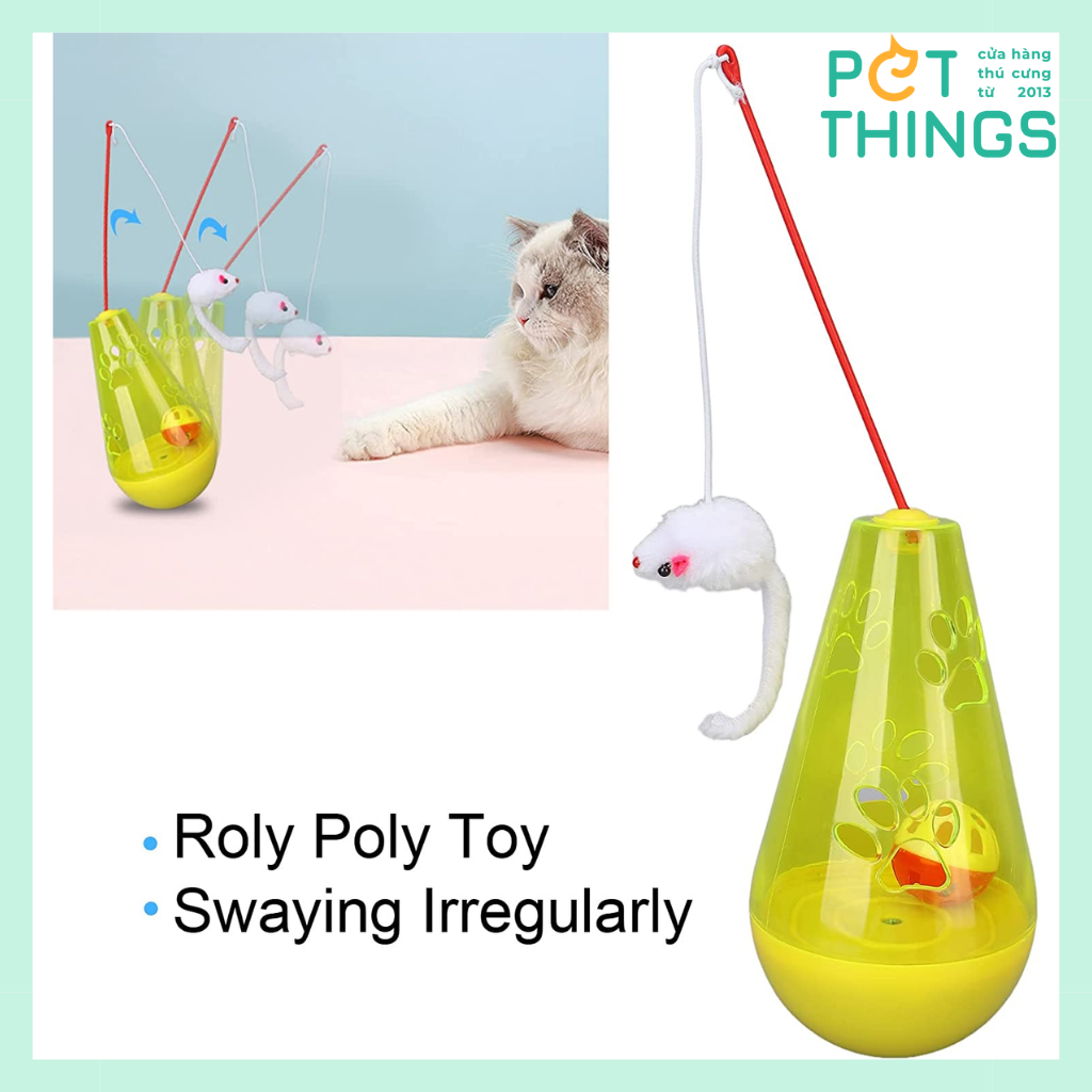 Toys with a fishing rod for cats