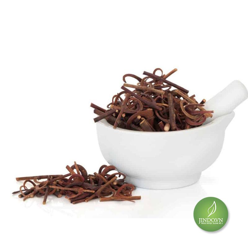 Cây Câu Đằng - Vị th uốc cho người bệnh động kinh JD174 nhập khẩu