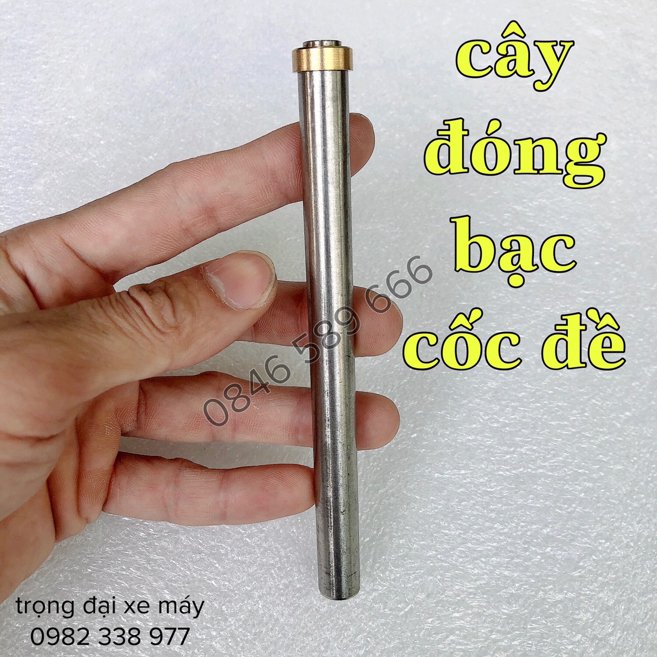Bạc Cốc Đề,Bạc Đít Đề Xe Máy