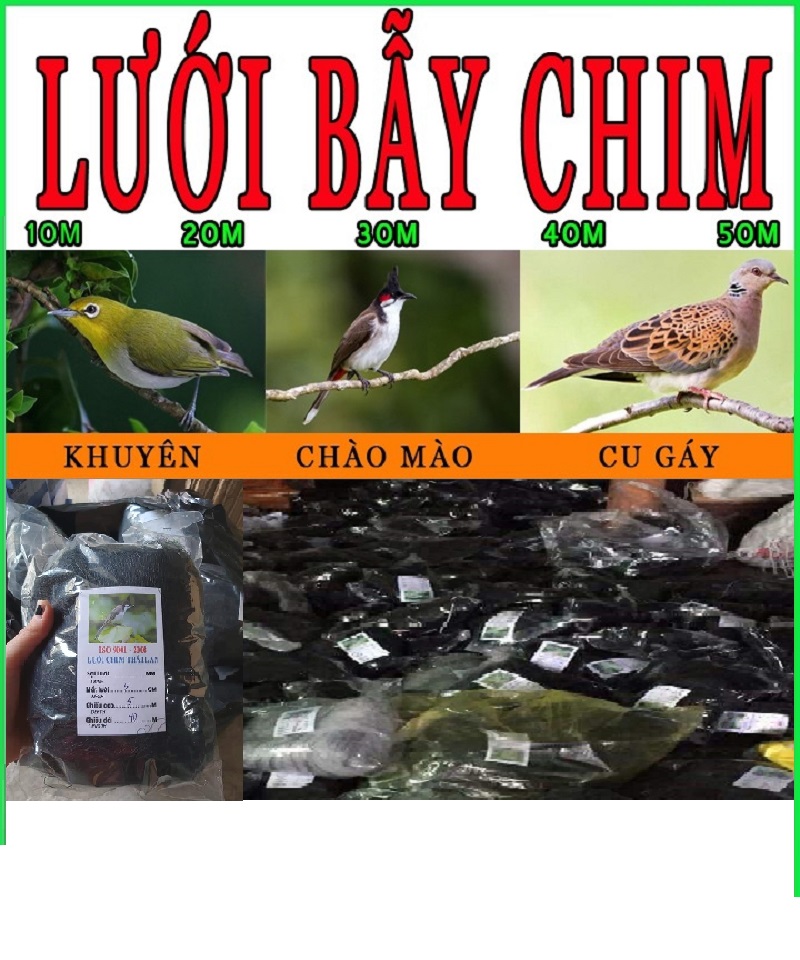 Lưỡi Bẫy Chim | lưới bẫy chim tàng hinh | lưới bẫy chim khuyên sâu sẻ gi sáo cu gáy chích chòe chào mào vẹt 10m 20m 30m 40m 50m..- HOÀI MY FISHING