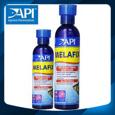 [Hoàn Tiền 10%] MELAFIX/PIMAFIX/STRESSCOAT DÀNH CHO CÁ CẢNH
