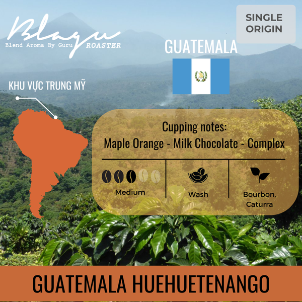 Cà Phê Blagu Hạt Đã Rang, Guatemala Huehuetenango  100% Arabica - Caturra, Bourbon  Medium 250g