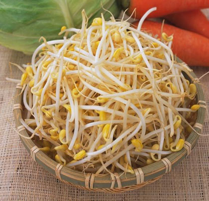 [HCM]Hạt Đậu Xanh Làm Giá Đỗ 1kg