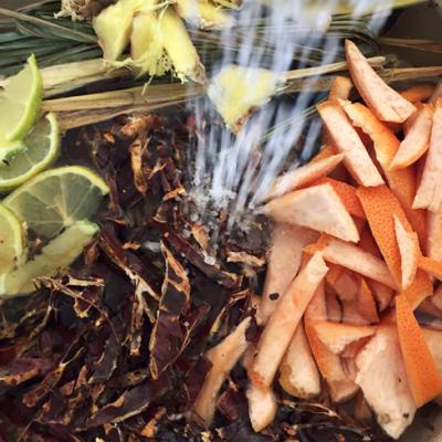 Dầu Gội Thảo Dược 100% Organic Bạc Hà The Mát