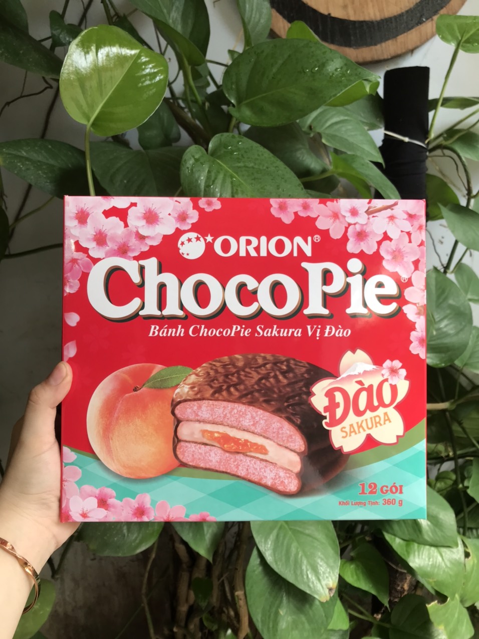 Bánh Choco Pie Sakura Vị Đào Orion (Hộp 12 cái)