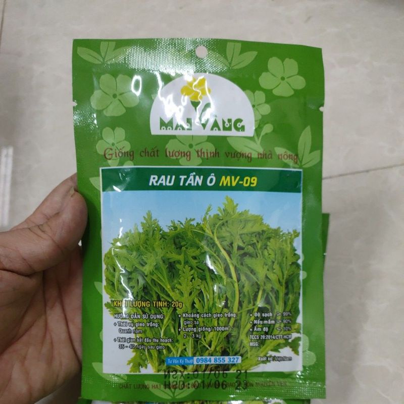 [Gói 20g] Hạt giống Rau Tần Ô (Cải cúc)