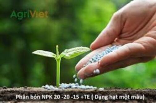 Phân bón NPK 20-20-15+TE , Một Màu - Tan Nhanh ( Giá bán 1 kg)