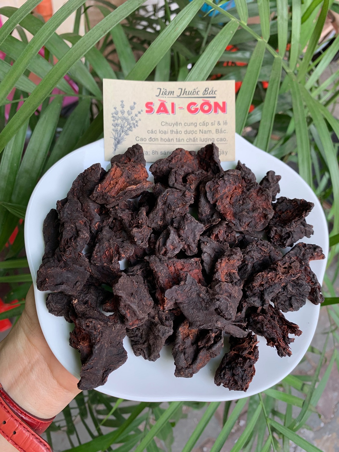 [HCM]Hà Thủ Ô Ông Tiên 100gram