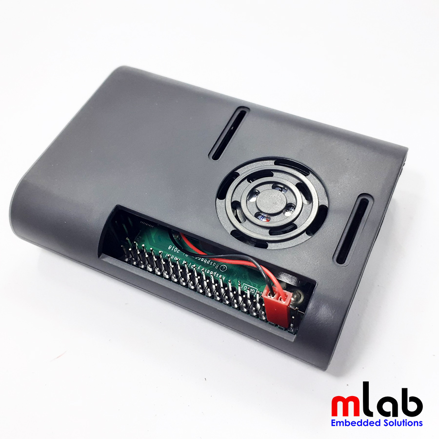 Bộ sản phẩm Raspberry Pi 4 (4GB RAM) Starter Kit