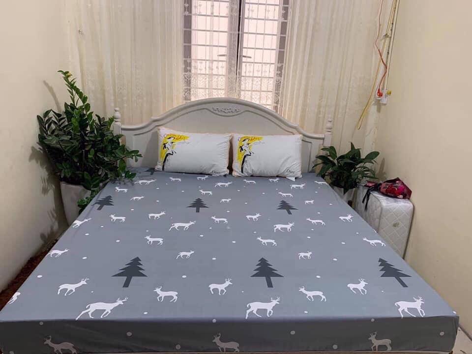 Ga chống thấm cotton dành cho bé yêu( giao màu ngẫu nhiên) KT 1.6 x 2m