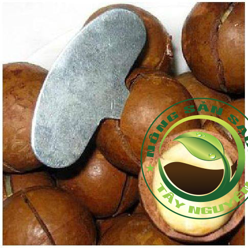 0.5kg Đồ khui hạt macca, óc chó loại sắt xi