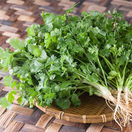 Hạt giống mùi tía 50gr