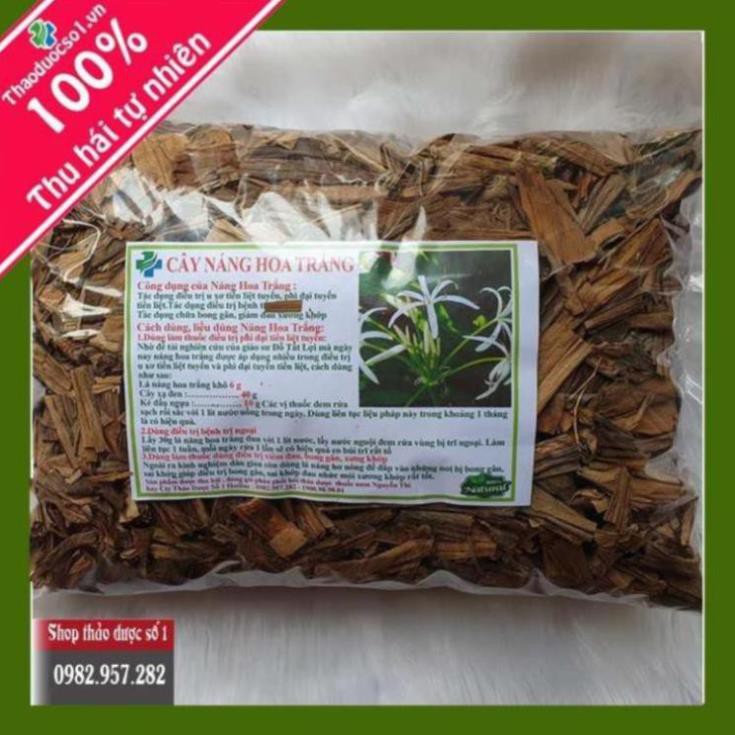 Cây náng hoa trắng Khô 1kg