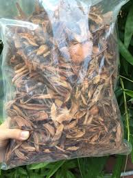 500gr củ gai khô dưỡng thai an thai