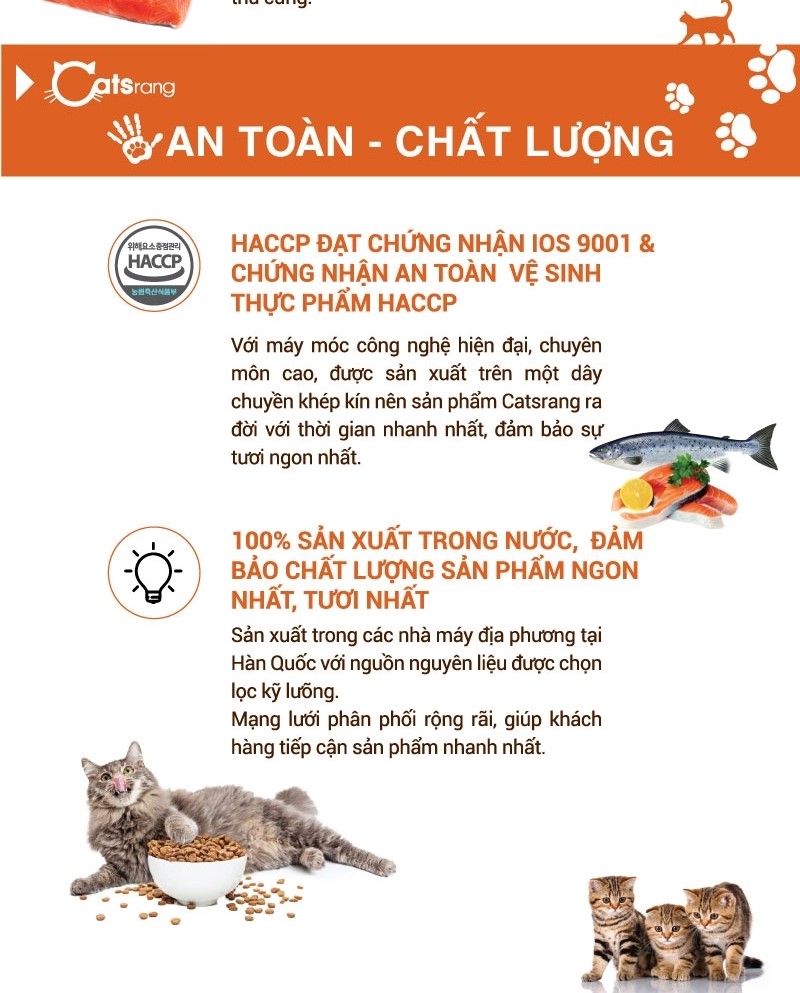 [400g/1.5kg] Hạt Cho Mèo Con (Kitten) Catsrang