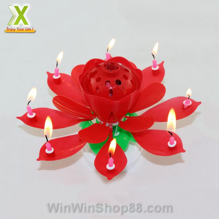 [HCM]Nến sinh nhật nở hoa và phát nhạc V.2