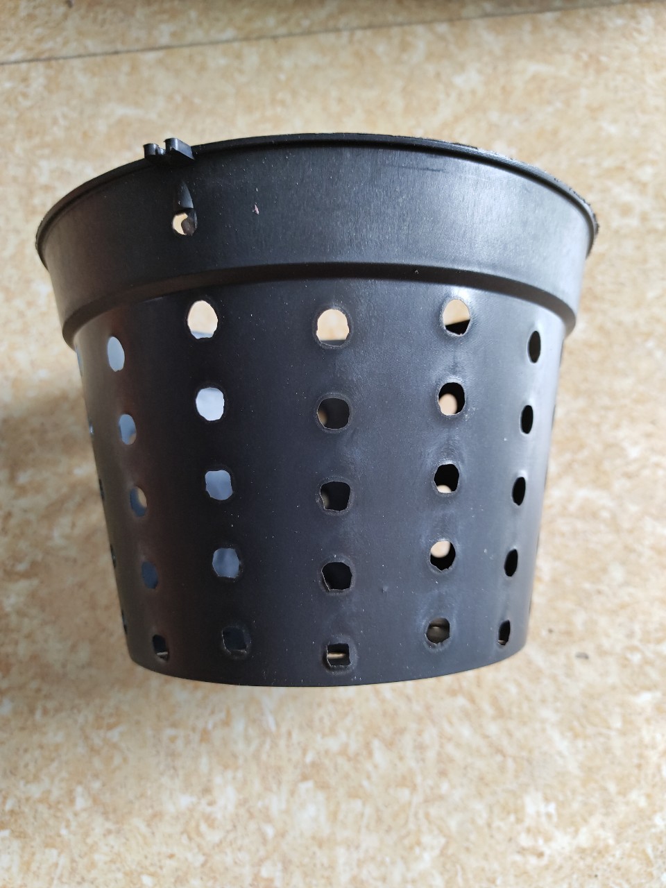 Combo 10 Chậu nhựa đen nhiều lỗ trồng Lan phi 21 cm