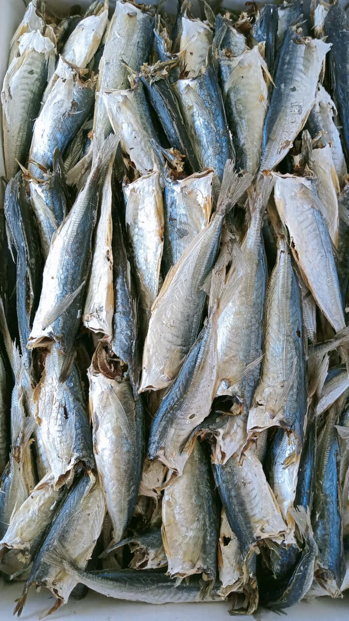 Bán sỉ 1 kg cá nục hấp nhạt