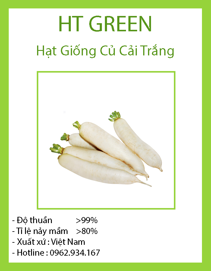 Hạt Giống Củ Cải Trắng ( Cải Đường )