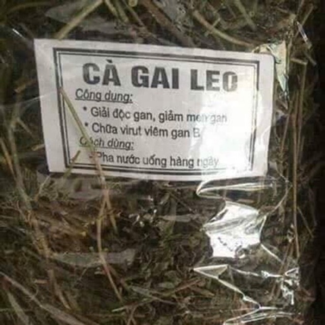 Cà gai leo khô đóng túi 1kg