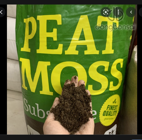 Giá Thể Trồng Cây Peatmoss 𝐆𝐀𝐑𝐃𝐄𝐍 & 𝐏𝐎𝐓𝐓𝐈𝐍𝐆 𝐒𝐎𝐈𝐋 - Peat man bao 70 lít (khoảng 13-15kg)