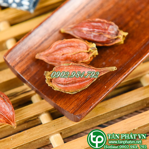 Quả dành dành khô 500g - Thảo Dược Tấn Phát - Hỗ trợ tạo màu cho các món ăn thêm phần thơm ngon và bổ dưỡng