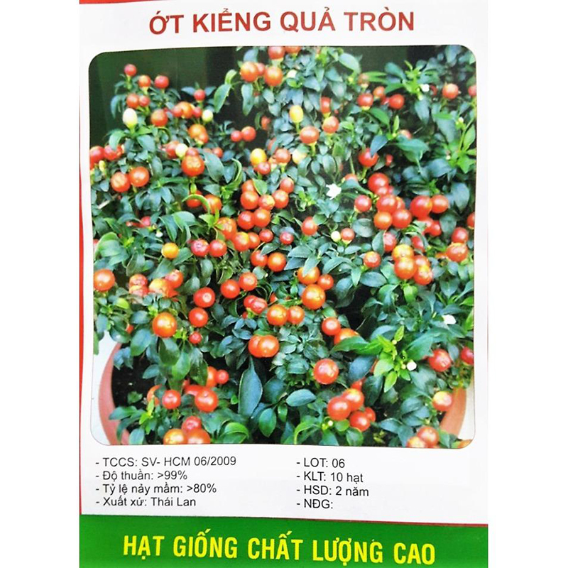 Hạt Giống Ớt Trái Tròn Làm Kiểng (543.F1)