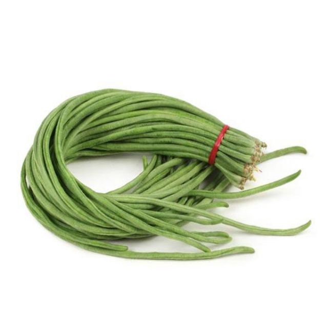 10g hạt giống đậu đũa ngọt cao sản