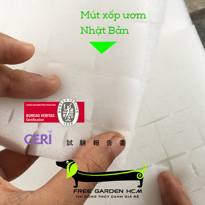 COMBO 540 VIÊN MÚT XỐP ƯƠM HẠT - NHẬT BẢN CẮT RÃNH