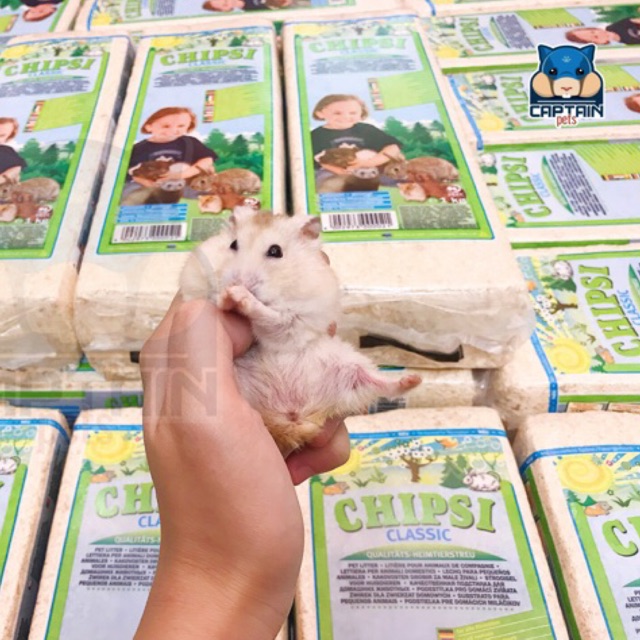 [FREESHIP MAX] Mùn cưa cao cấp Chipsi Classic - Bách hóa Hamster