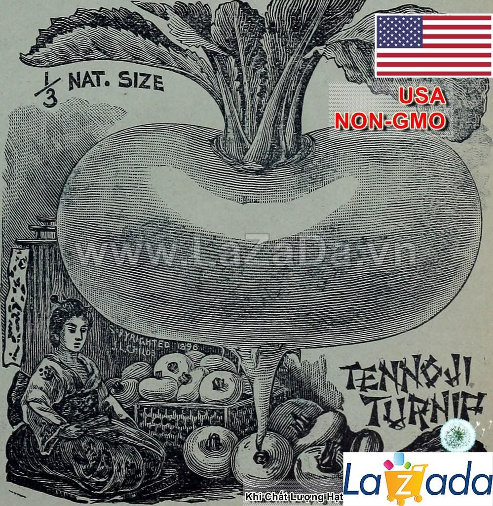 1GRAM 80.HAT Hạt Giống Củ Cải Khổng Lồ Nhật Samurai (KL| C30*W64)