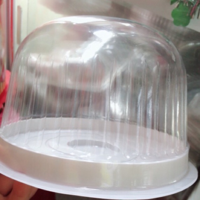 BỘ 50 HỘP NHỰA TRÒN ĐỰNG BÁNH ĐẾ TRẮNG H25 NẮP MÔ/ NẮP CẦU  16.5 CM X CAO 12 CM