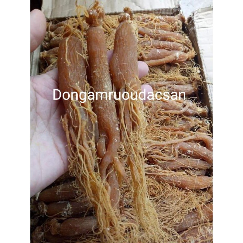 Korean Red Ginseng 100g