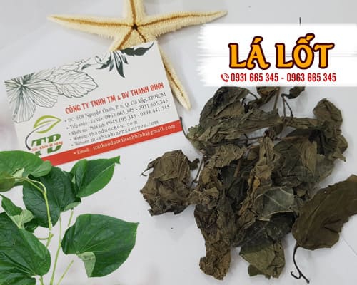 Lá Lốt Khô 1KG - Dược Liệu Thanh Bình