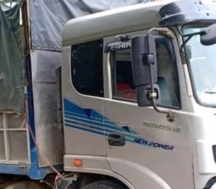 Tem dán xe tải Trường Giang , Tem DongFeng